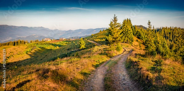 Obraz Panoramic summer view of  mountain farmland with old country road, Ukraine, Europe. Colorful morning scene of Carpathian mountains. Beauty of countryside concept background..
