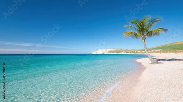 Fototapeta Serene coastal scene featuring palm tree by clear turquoise water and sandy beach. vibrant blue