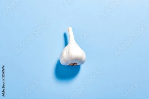 Fototapeta Garlic bulb casts sharp shadow light