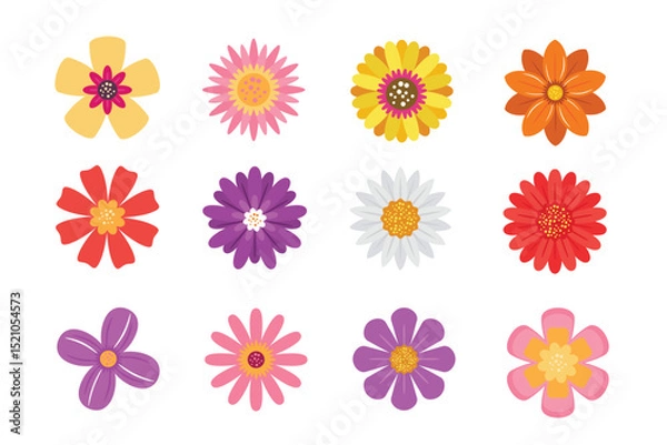 Fototapeta Colorful Flower Icons Set vector illustration