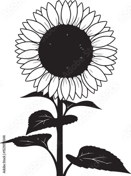 Obraz Plants and flowers Silhouette vector image