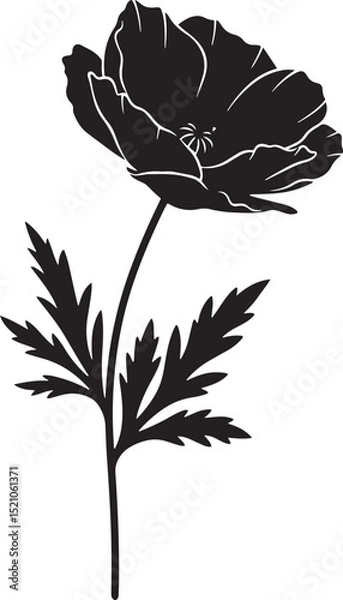 Fototapeta Flower Silhouette vector 