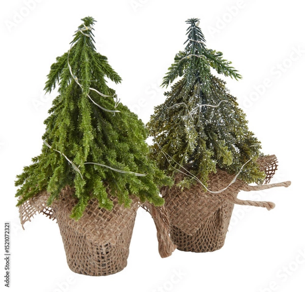 Obraz Pair of Christmas trees in a mesh bag cut out isolated transparent background