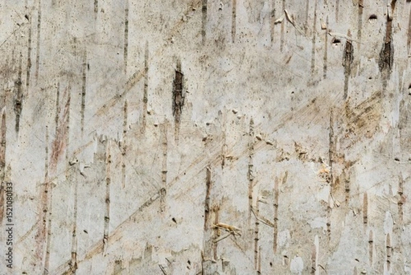 Fototapeta Birch bark is a woody layer. Light background - abstract pattern of black and white stripes