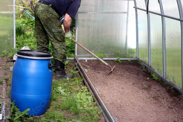 Obraz An elderly farmer rakes the soil after weeding a bed in a greenhouse. Agriculture, preparing the soil for planting plants - horizontal photo