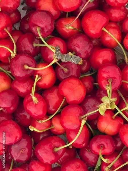Fototapeta Cerezas
