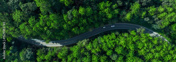 Obraz Electric cars to protect the environment and transportation road of Top view road in beautiful Rain forest with natural background