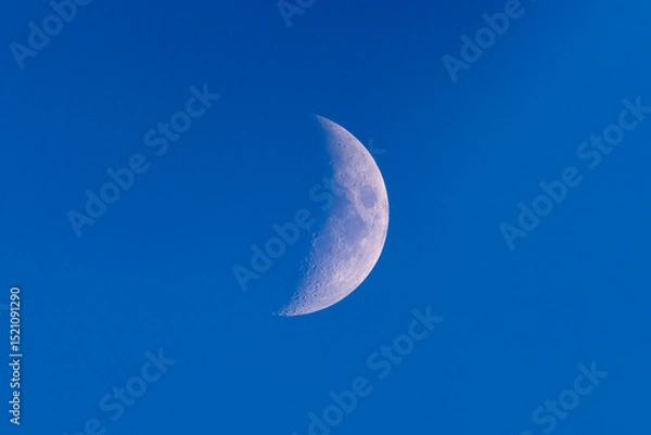 Fototapeta Waxing gibbous moon in a deep blue evening sky. Detailed surface texture captured through a telescope. Peaceful and minimalist night sky astronomy scene.
