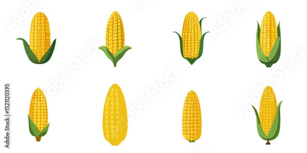 Obraz Multiple vector illustrations corn, flat style
