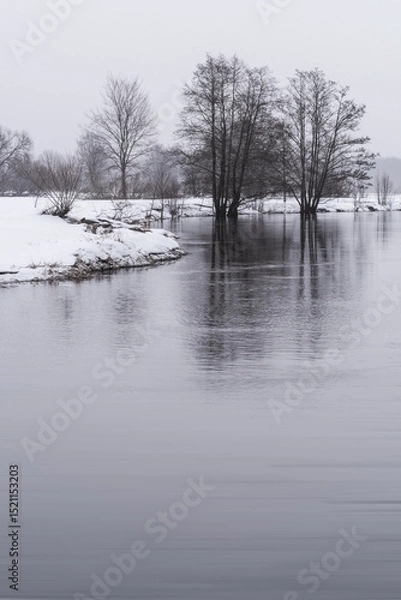 Fototapeta Winter Landscape Belarus. River in the Forest covered with Snow