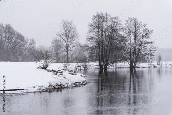 Fototapeta Winter Landscape Belarus. River in the Forest covered With Snow