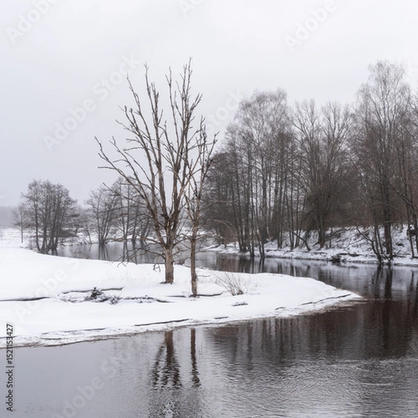 Fototapeta Winter landscape Belarus. River in the forest covered with snow.