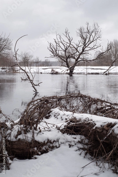 Fototapeta Winter landscape Belarus. River in the forest covered with snow.