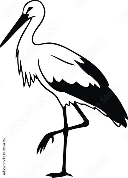 Fototapeta White stork bird black and white illustration