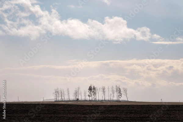 Fototapeta Village Сemetery with Silhouettes of rare Trees on the Edge of a Field in a Snowstorm