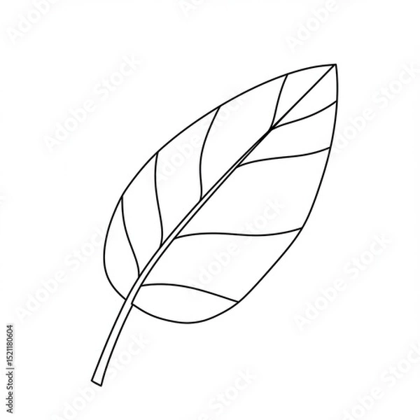 Fototapeta Against a stark white backdrop, simple one line drawing depicts single, pointed leaf with detailed veins branching from its central stem.