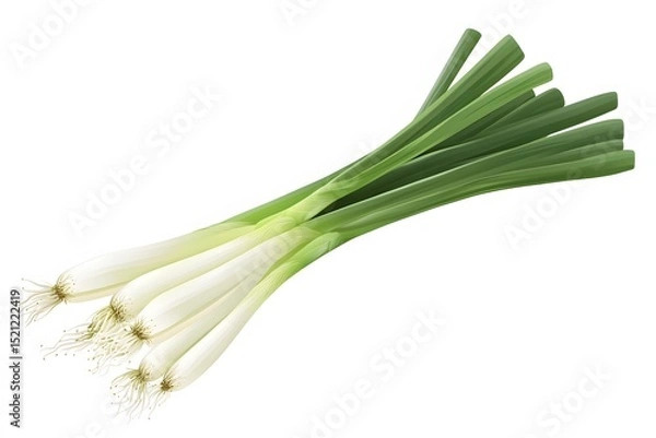 Fototapeta A bunch of scallions with white bulbs and green stalks lying diagonally on a plain white background space