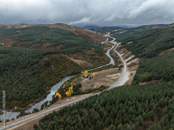 Fototapeta Aerial view of Litran river and road traverse a landscape of evergreen and autumn-colored trees under a cloudy sky. Neuquen, Argentina