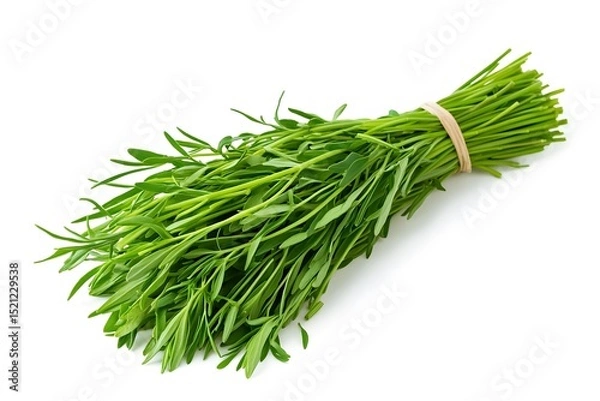 Fototapeta A bundle of fresh green tarragon herb tied with a rubber band isolated on a white background close up