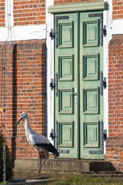 Fototapeta A stork warming in the sun on graveyard in front of weathered church door