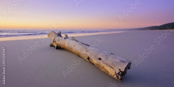 Obraz Serene Beach Scene at Sunrise with Driftwood Log on Smooth Sand and Gentle Waves Under Colorful Sky