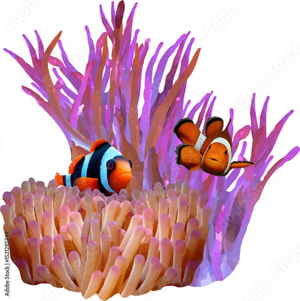 Obraz clown fish in the sea7