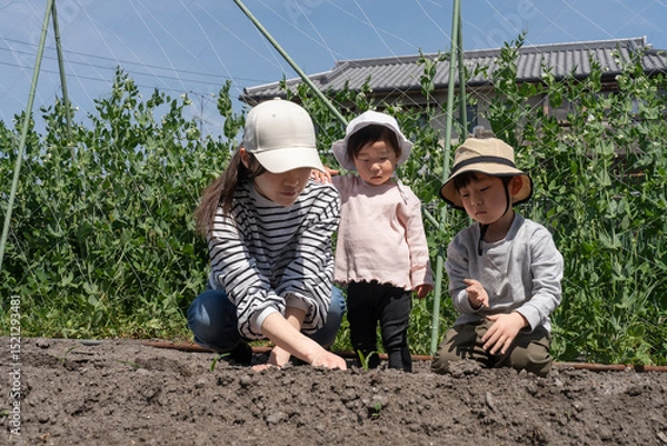 Fototapeta 畑作業をする親子
