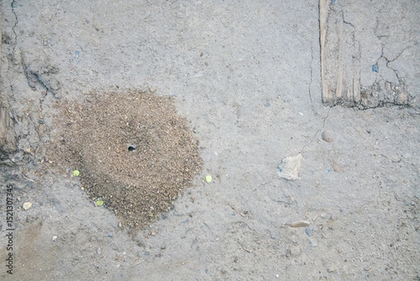 Fototapeta A round anthill with a small hole in the center, surrounded by cracked earth and pebbles, creates a peaceful outdoor atmosphere with natural textures.