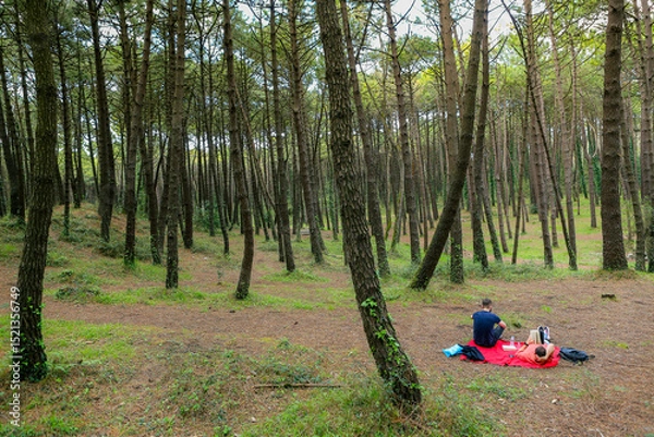 Obraz Two men in the forest resting and enjoying nature. Lying on a red blanket, reading, eating, and chatting