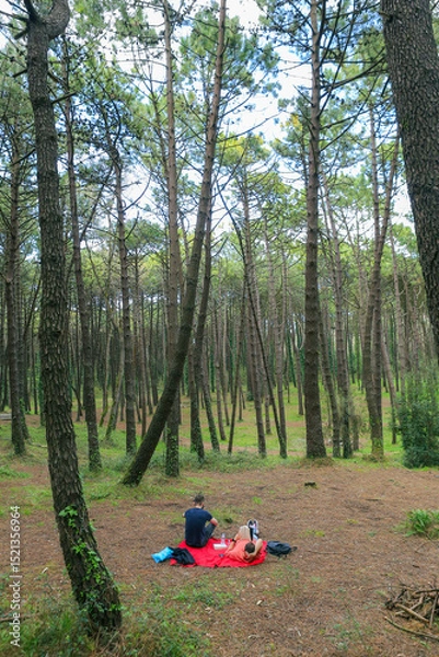 Obraz Two men in the forest resting and enjoying nature. Lying on a red blanket, reading, eating, and chatting
