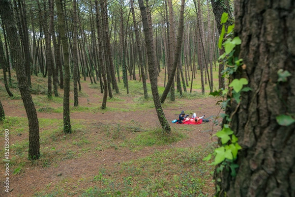 Obraz Two men in the forest resting and enjoying nature. Lying on a red blanket, reading, eating, and chatting
