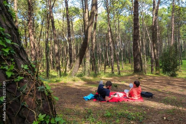 Obraz Two men in the forest resting and enjoying nature. Lying on a red blanket, reading, eating, and chatting