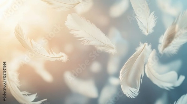 Obraz white feather on blue background