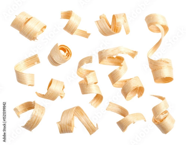 Fototapeta Thin, curled wood shavings arranged in a scattered pattern.