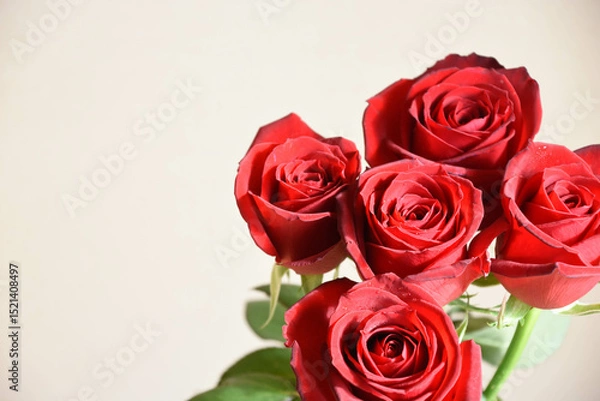 Fototapeta 赤いバラ