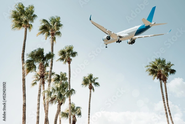 Obraz airplane arrives above palm trees