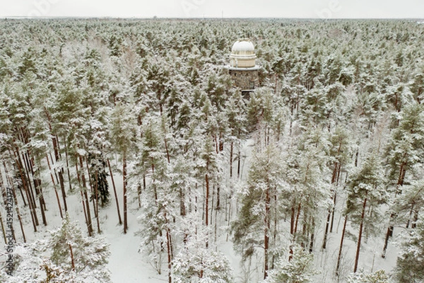 Fototapeta Old observatory tower in the Glen park, in fir forest. Tallinn, Estonia.
