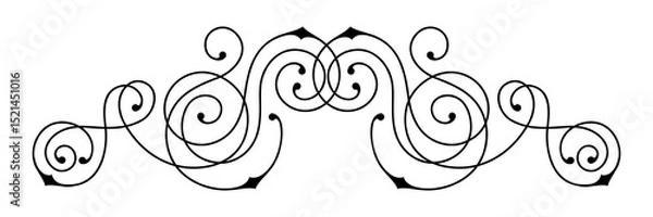 Obraz Line curl element. Modern decorative linear divider.