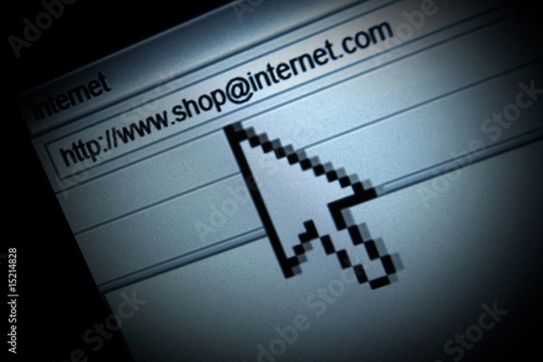 Obraz Surfing the web