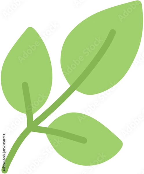 Obraz green leaf isolated on white background