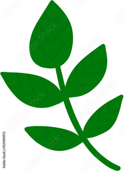 Fototapeta green leaf isolated on white background