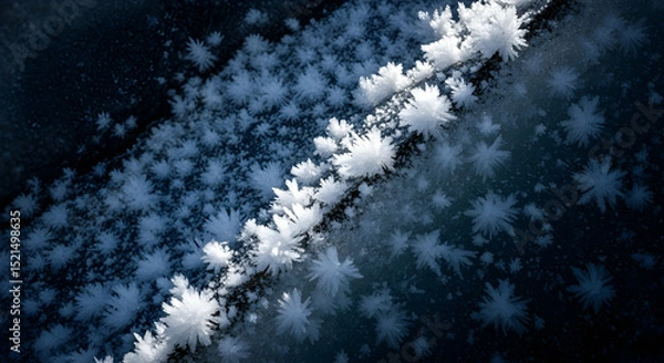 Fototapeta Delicate Frost Formations Evoke Winter's Enigmatic Beauty on a Frozen Surface
