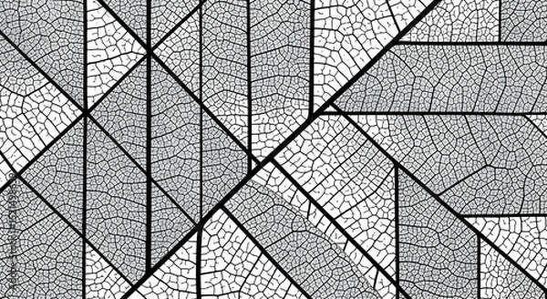 Fototapeta Abstract Geometric Mosaic Pattern Featuring Leaf Vein Structures in Gray Tones