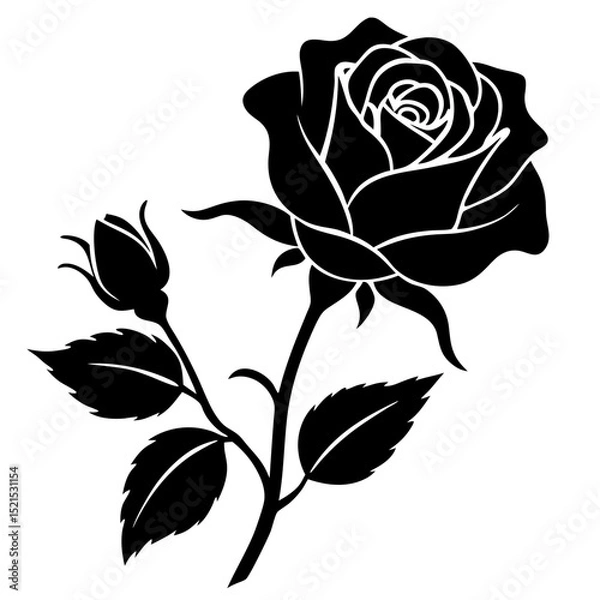 Fototapeta An isolated black and white rose vector illustration, featuring a detailed floral design and elegant petals
