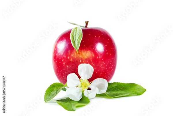 Fototapeta Red juicy apple with flower and leaves. Isolated on white background.