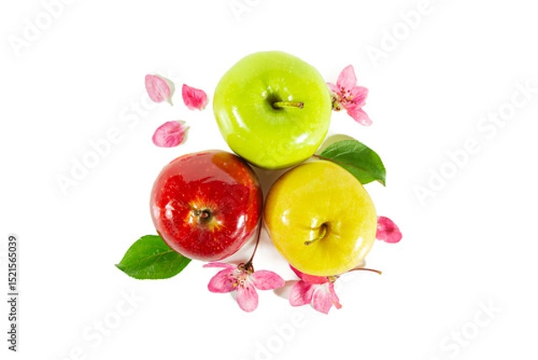 Fototapeta Shiny juicy red, yellow and green apples with apple blossoms and leaves isolated on white.