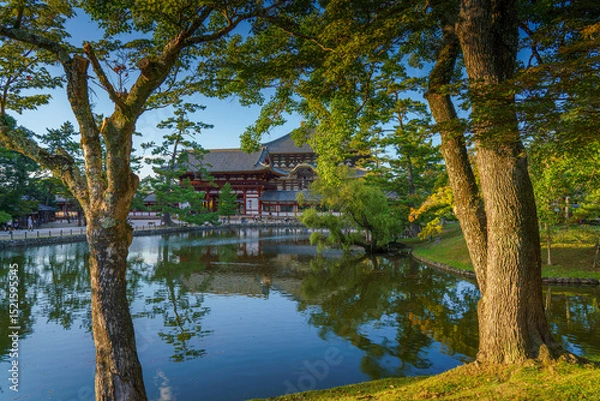 Fototapeta Nara, Japan - Sep 26 2024, Panoramic view across the pond and trees to the facade of Todaiji Temple, Great Buddha Hall, with a blue cloudy sky, Nara, Japan
