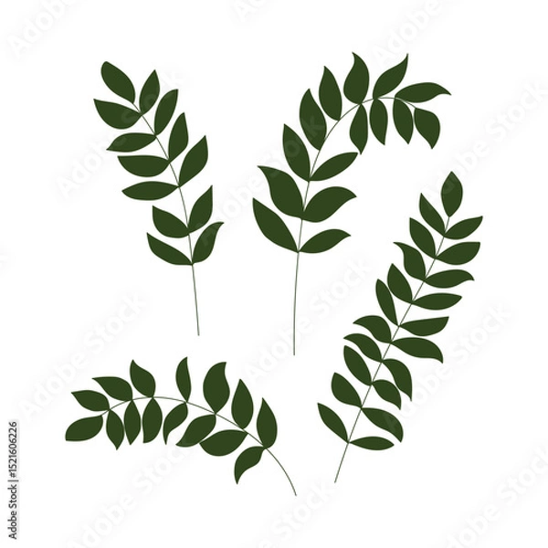 Obraz Set of various green plants, young saplings. Vector illustration, isolated on a white.