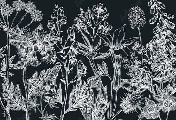 Fototapeta Witch herbs banner. Vintage background. Poisonous plants vector design on chalkboard. NOT AI generated