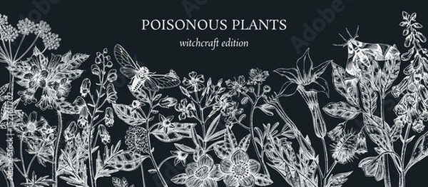 Fototapeta Witch herbs border. Vintage background. Poisonous plants vector design. NOT AI generated